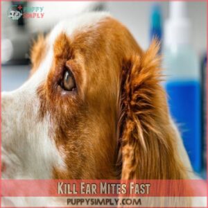 Kill Ear Mites Fast