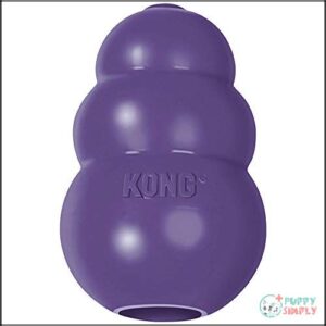 KONG Senior - Dog Toy