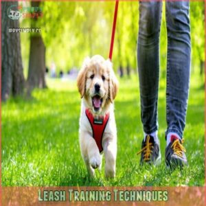 Leash Training Techniques