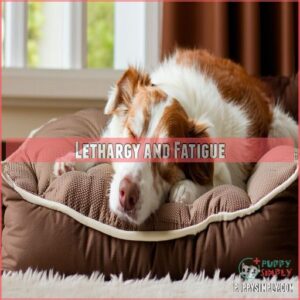 Lethargy and Fatigue