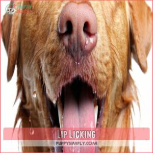 Lip Licking