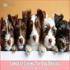 Longest Living Toy Dog Breeds