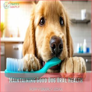 Maintaining Good Dog Oral Health