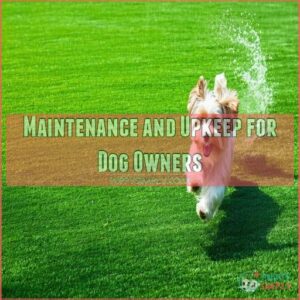 Maintenance and Upkeep for Dog Owners