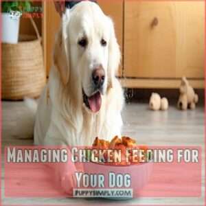 Managing Chicken Feeding for Your Dog