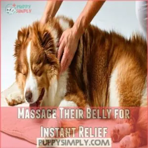 Massage Their Belly for Instant Relief