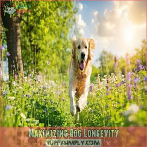 Maximizing Dog Longevity