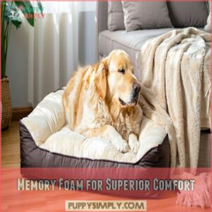 Memory Foam for Superior Comfort