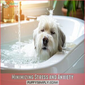 Minimizing Stress and Anxiety