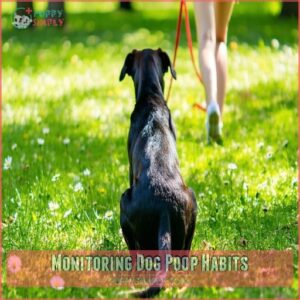 Monitoring Dog Poop Habits