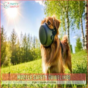 Muzzle Safety Guidelines