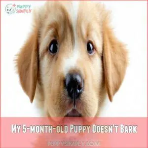 My 5-month-old Puppy Doesn't Bark