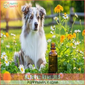 Natural Remedies