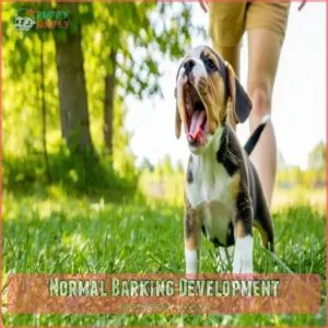 Normal Barking Development