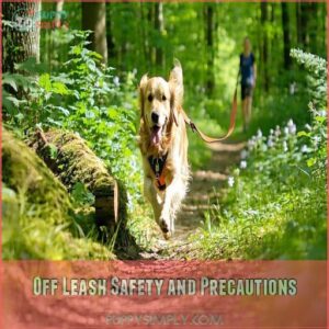 Off Leash Safety and Precautions