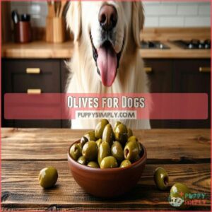 Olives for Dogs