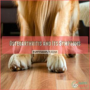 Osteoarthritis and Its Symptoms