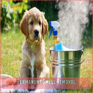 Permanent Smell Removal