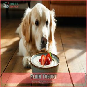 Plain Yogurt