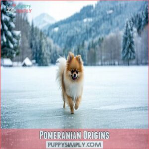 Pomeranian Origins