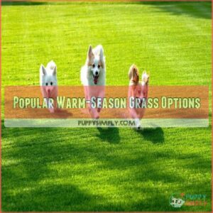 Popular Warm-Season Grass Options