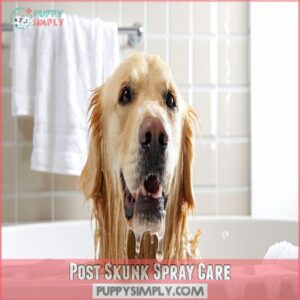 Post Skunk Spray Care