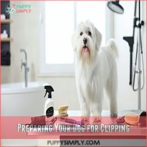 Preparing Your Dog for Clipping