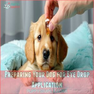 Preparing Your Dog for Eye Drop Application