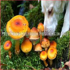 Preventing Mushroom Poisoning in Dogs