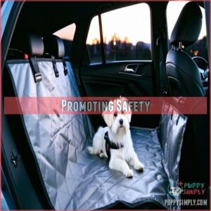 Promoting Safety