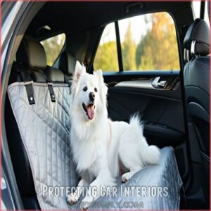 Protecting Car Interiors