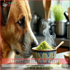 Protecting Dogs From Wasabi