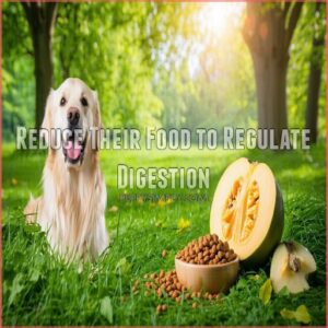 Reduce Their Food to Regulate Digestion