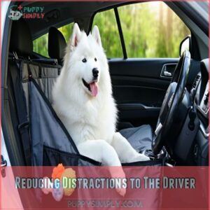 Reducing Distractions to The Driver