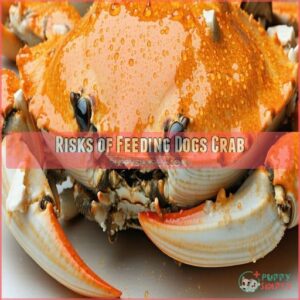 Risks of Feeding Dogs Crab