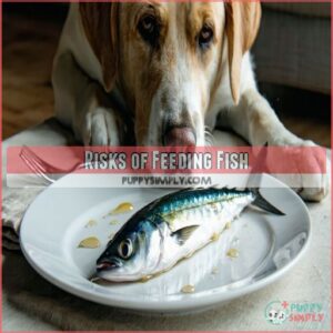 Risks of Feeding Fish