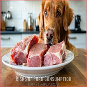 Risks of Pork Consumption