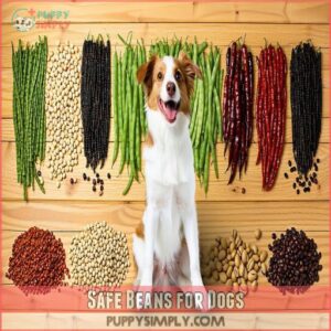 Safe Beans for Dogs