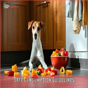 Safe Consumption Guidelines