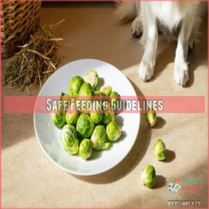 Safe Feeding Guidelines