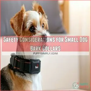 Safety Considerations for Small Dog Bark Collars