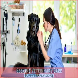 Seeking Veterinary Care