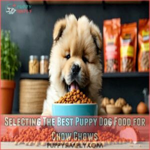 Selecting The Best Puppy Dog Food for Chow Chows