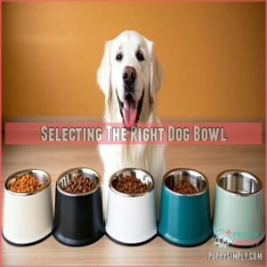 Selecting The Right Dog Bowl