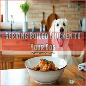 Serving Boiled Chicken to Your Dog