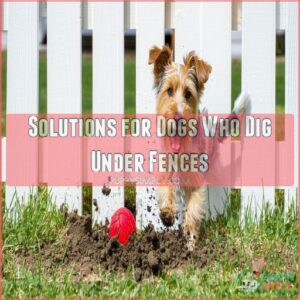 Solutions for Dogs Who Dig Under Fences