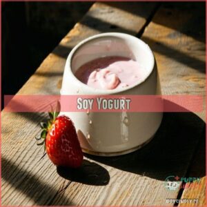 Soy Yogurt