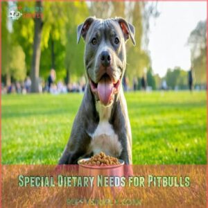 Special Dietary Needs for Pitbulls