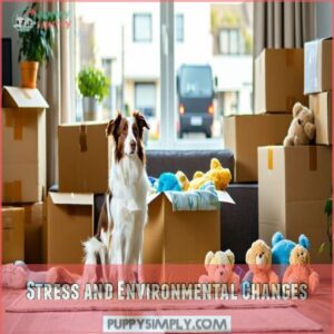 Stress and Environmental Changes