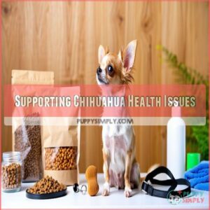 Supporting Chihuahua Health Issues